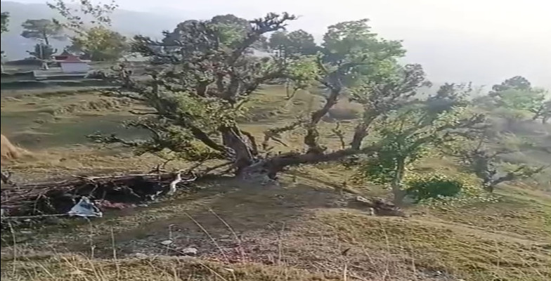  2100 Sq.ft. Residential Plot for Sale in Lamgara, Almora