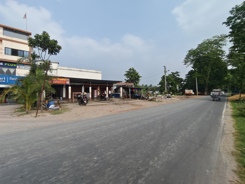  1125 Sq.ft. Residential Plot for Sale in Thakurganj, Kishanganj