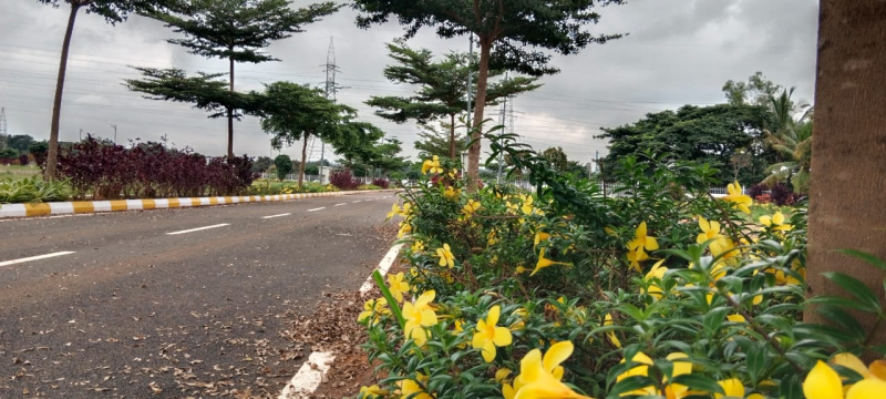 2 BHK 800 Sq.ft. House for Sale in Kaggalipura, Bangalore