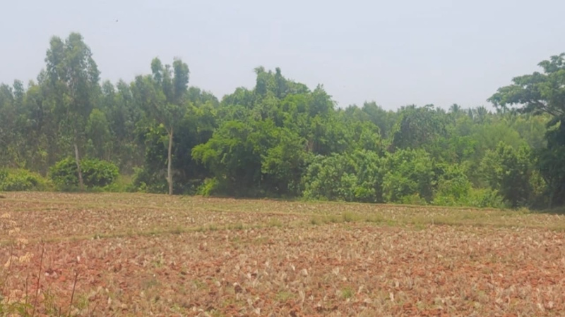  4 Acre Agricultural/Farm Land for Sale in Mysore Road, Bangalore