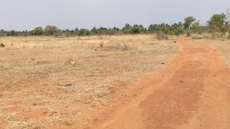  5 Acre Agricultural/Farm Land for Sale in Kanakapura Road, Bangalore