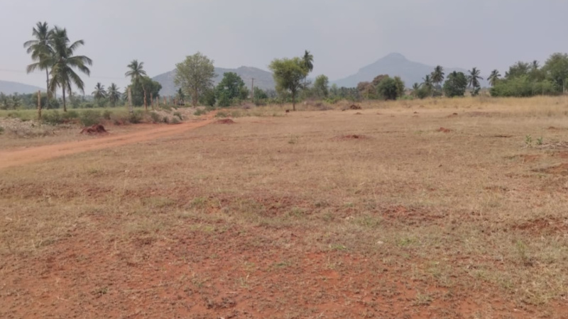  5 Acre Agricultural/Farm Land for Sale in Kanakapura Road, Bangalore