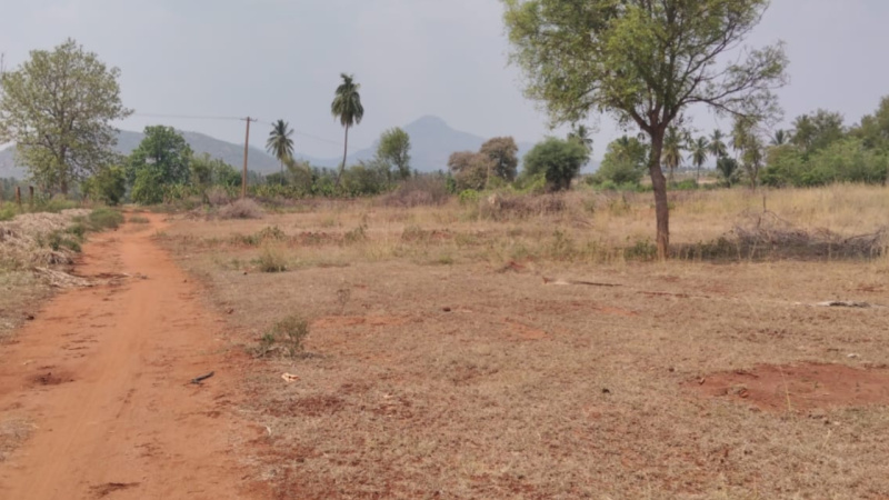  5 Acre Agricultural/Farm Land for Sale in Kanakapura Road, Bangalore