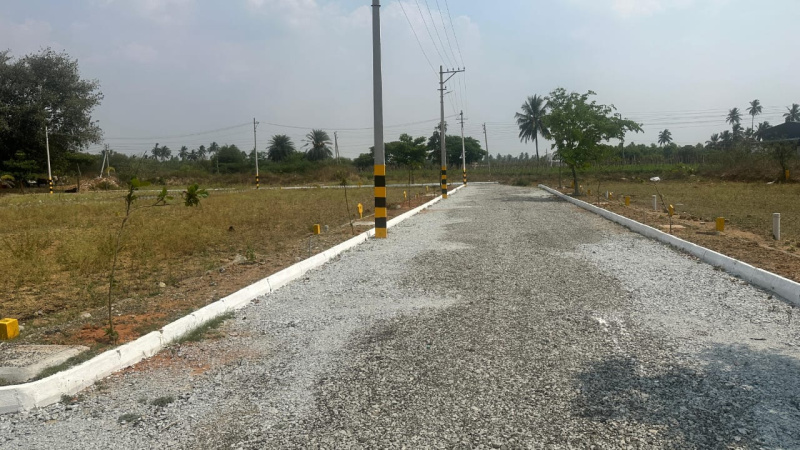  1200 Sq.ft. Residential Plot for Sale in Kyasamballi, Kolar