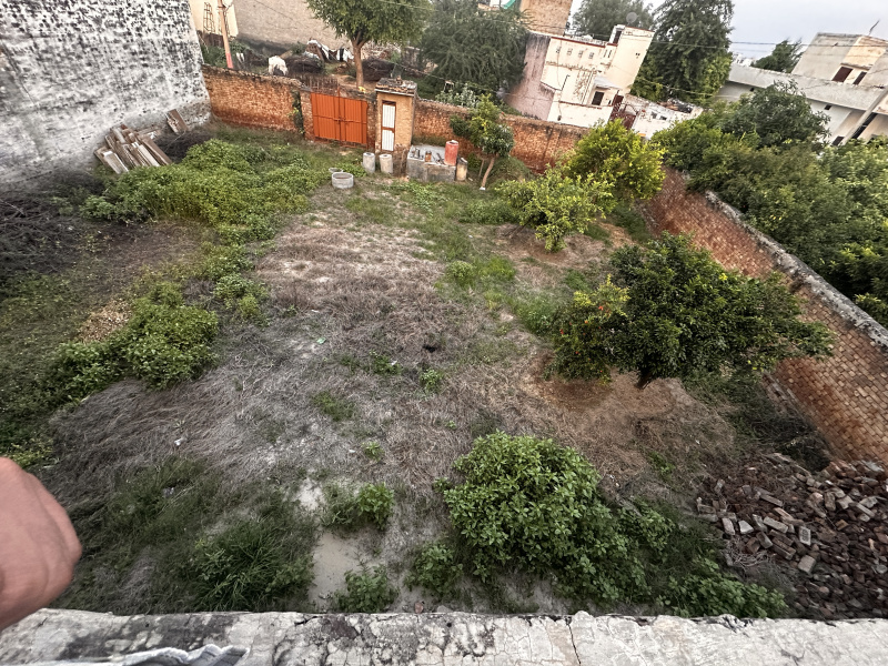  3600 Sq.ft. Residential Plot for Sale in Bhadra, Hanumangarh