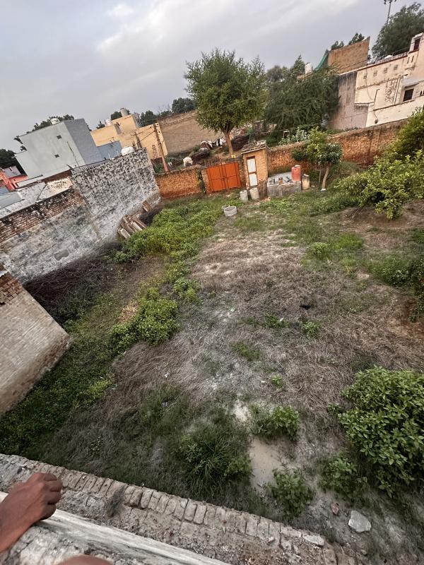  3600 Sq.ft. Residential Plot for Sale in Bhadra, Hanumangarh