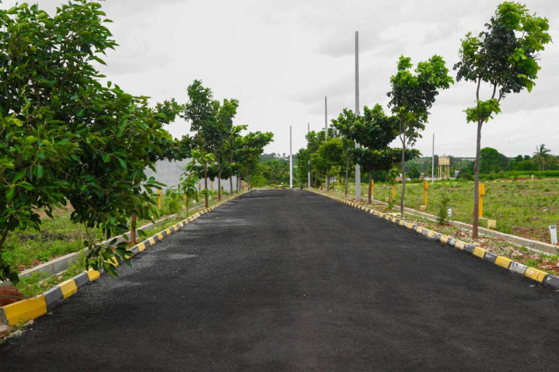  1100 Sq.ft. Residential Plot for Sale in Gandhi Nagar, Bellary