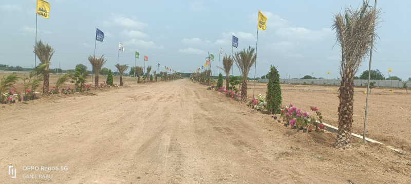  165 Sq.ft. Residential Plot for Sale in Narasaraopet, Guntur