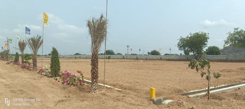  165 Sq.ft. Residential Plot for Sale in Narasaraopet, Guntur