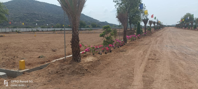  165 Sq.ft. Residential Plot for Sale in Narasaraopet, Guntur