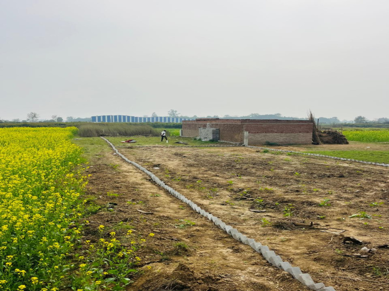  1200 Sq.ft. Residential Plot for Sale in Kanhauli, Bihta, Patna