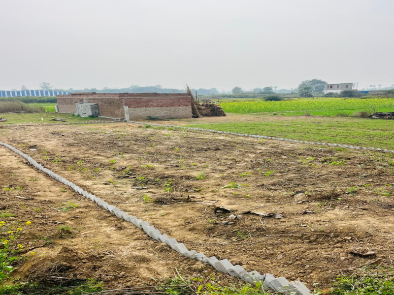  1200 Sq.ft. Residential Plot for Sale in Kanhauli, Bihta, Patna