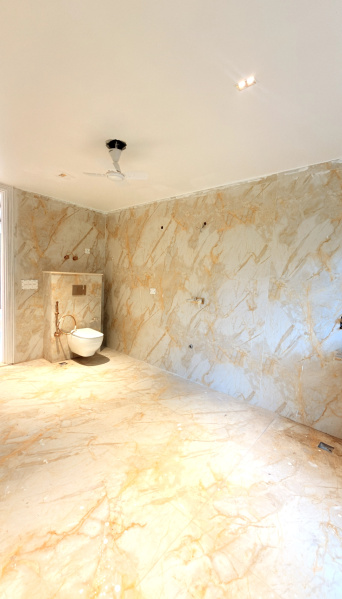 5 BHK 3901 Sq.ft. Apartment for Sale in Nangal Dewat, Vasant Kunj, Delhi