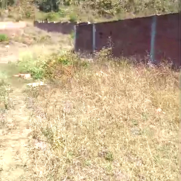  2675 Sq.ft. Residential Plot for Sale in Kaladhungi, Nainital