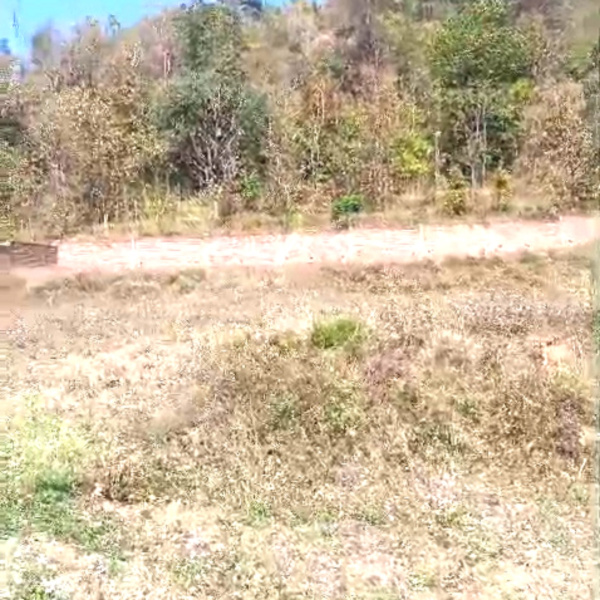  2675 Sq.ft. Residential Plot for Sale in Kaladhungi, Nainital