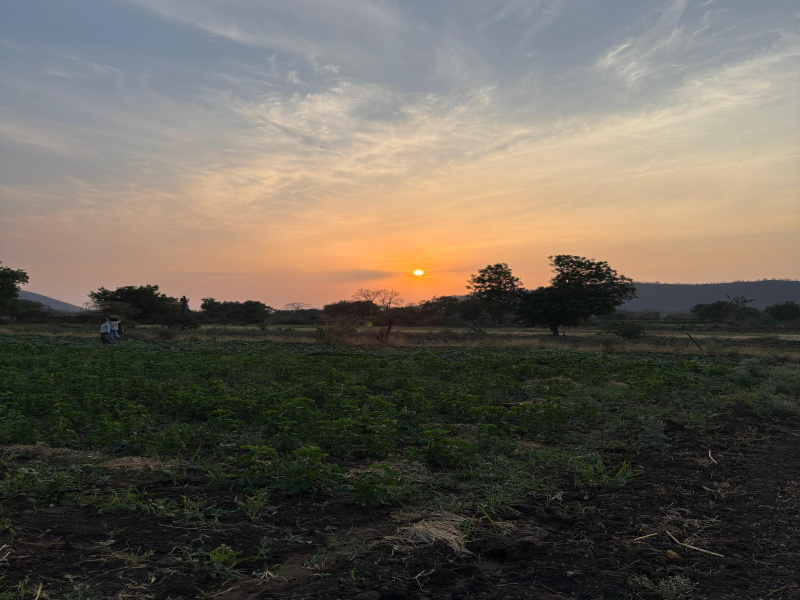  5000 Sq.ft. Agricultural/Farm Land for Sale in Khandwa Road, Khandwa Road, Indore