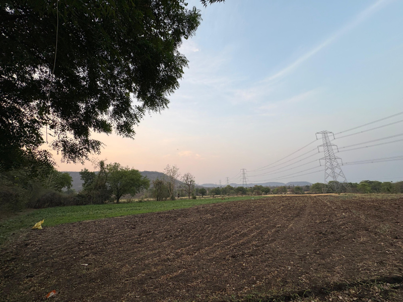  5000 Sq.ft. Agricultural/Farm Land for Sale in Khandwa Road, Khandwa Road, Indore