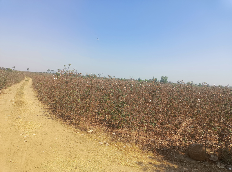  5 Acre Agricultural/Farm Land for Sale in Bellampalle, Mancherial