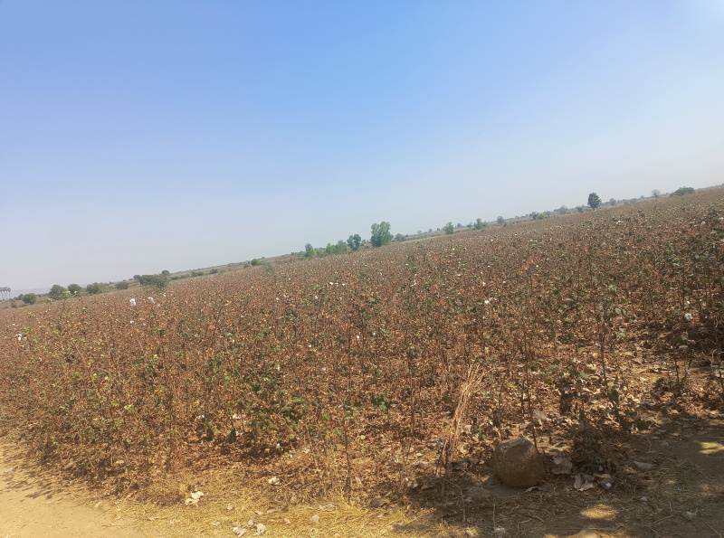  5 Acre Agricultural/Farm Land for Sale in Bellampalle, Mancherial