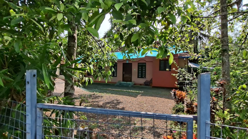  80 Cent Commercial Land for Sale in Kuttanad, Alappuzha