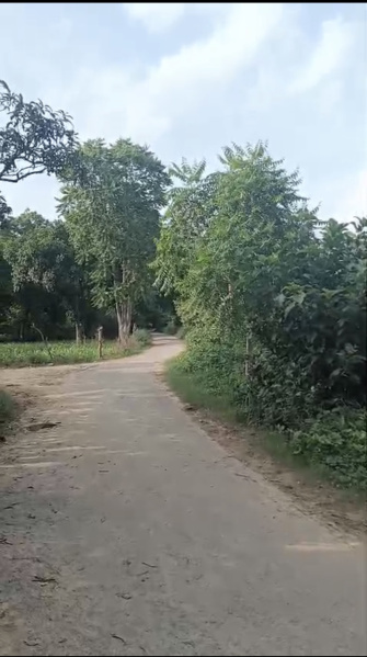  19 Sq.ft. Agricultural/Farm Land for Sale in Faizabad Road, Barabanki