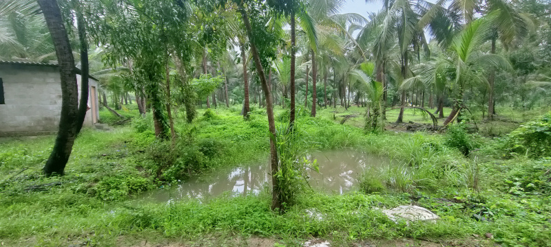  80000 Sq.ft. Residential Plot for Sale in Brahmavar, Udupi
