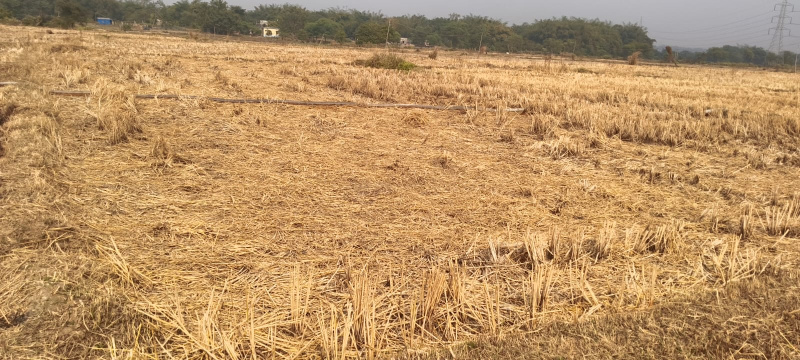  15 Katha Residential Plot for Sale in Paschim, Medinipur