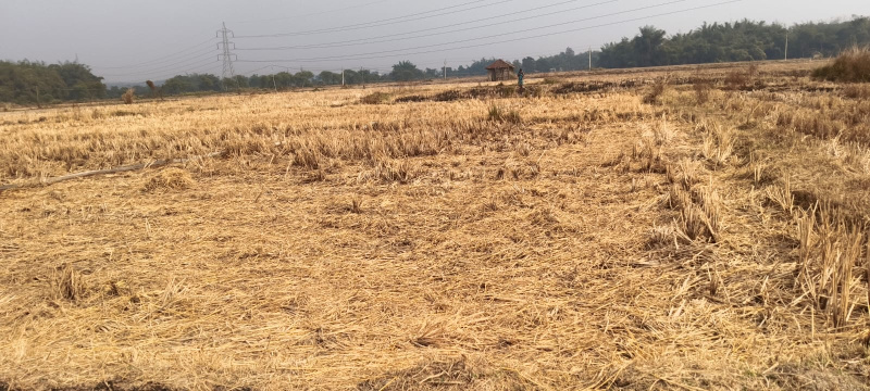  15 Katha Residential Plot for Sale in Paschim, Medinipur