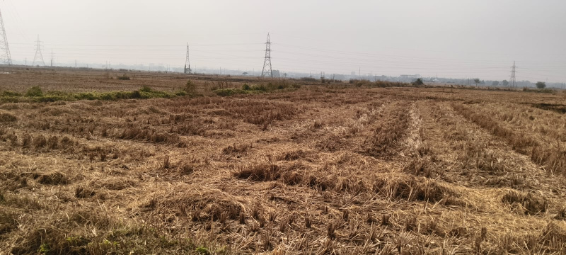  15 Katha Residential Plot for Sale in Paschim, Medinipur
