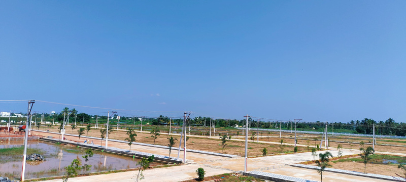  220 Sq. Yards Residential Plot for Sale in Allipuram, Nellore