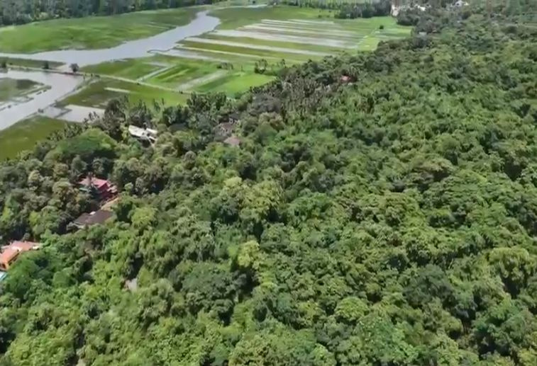  900 Acre Agricultural/Farm Land for Sale in Mudigere, Chikmagalur
