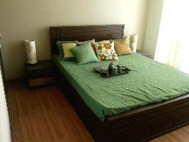 1 BHK Flat for Rent in Ghodbunder Road, Thane