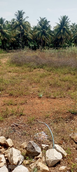  48 Cent Residential Plot for Sale in Kumarapalayam, Namakkal