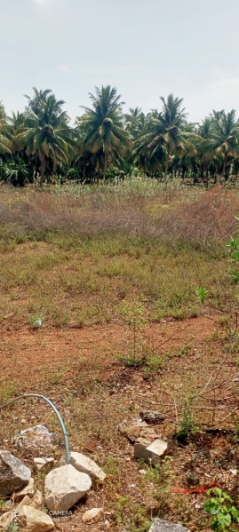  48 Cent Residential Plot for Sale in Kumarapalayam, Namakkal