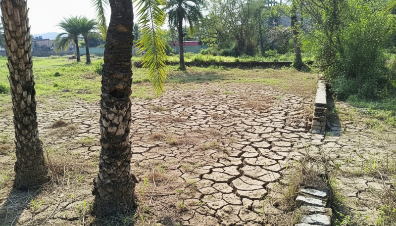  6336 Sq.ft. Commercial Land for Sale in Uchhepota, Kolkata