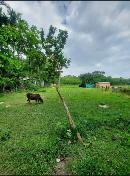  17 Katha Residential Plot for Sale in Birpara, Alipurduar