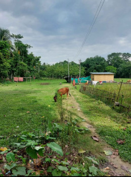  17 Katha Residential Plot for Sale in Birpara, Alipurduar