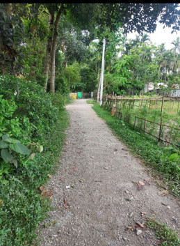  17 Katha Residential Plot for Sale in Birpara, Alipurduar