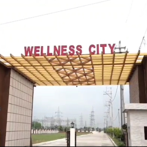  800 Sq.ft. Residential Plot for Sale in Sanawada, Ratlam