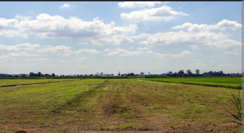  55000 Sq.ft. Agricultural/Farm Land for Rent in Jaridih Bazar, Bokaro
