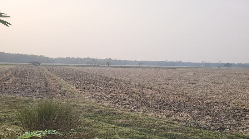  6 Katha Residential Plot for Sale in Dekargaon, Tezpur