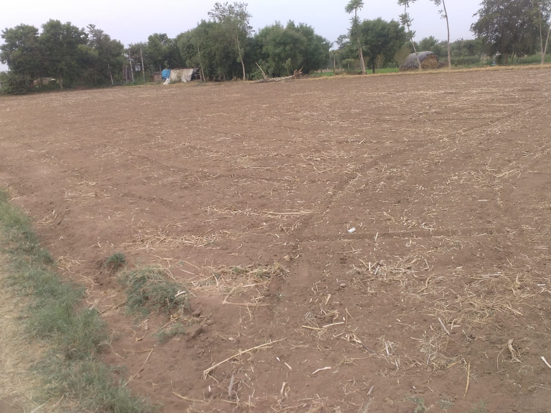  0 Guntha Agricultural/Farm Land for Rent in Kheralu, Mahesana