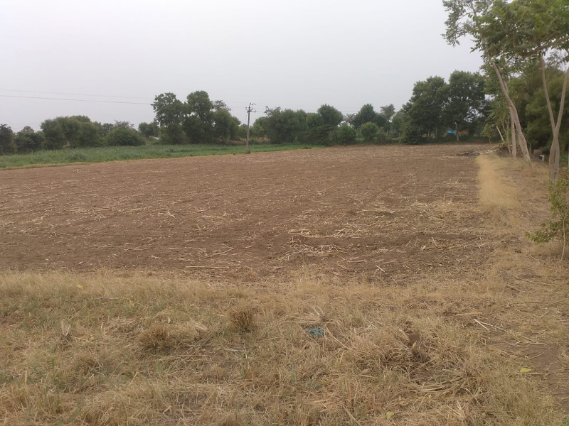  0 Guntha Agricultural/Farm Land for Rent in Kheralu, Mahesana
