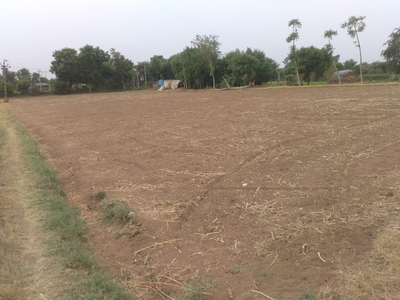  0 Guntha Agricultural/Farm Land for Rent in Kheralu, Mahesana