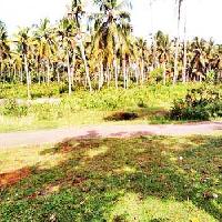  Residential Plot for Sale in Cherai, Kochi