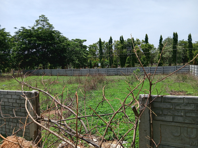  2400 Sq.ft. Residential Plot for Sale in Kumta, Uttara Kannada