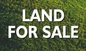  Residential Plot 161 Sq. Yards for Sale in Patiala Road, Zirakpur