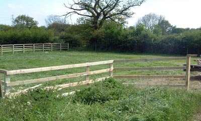  Residential Plot 78 Sq. Yards for Sale in Patiala Road, Zirakpur