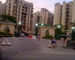 3 BHK Flat for Rent in Sector 93 Noida