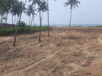  Agricultural Land for Sale in Padubidre, Udupi